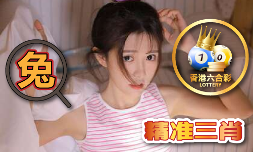 香港雷锋资料V