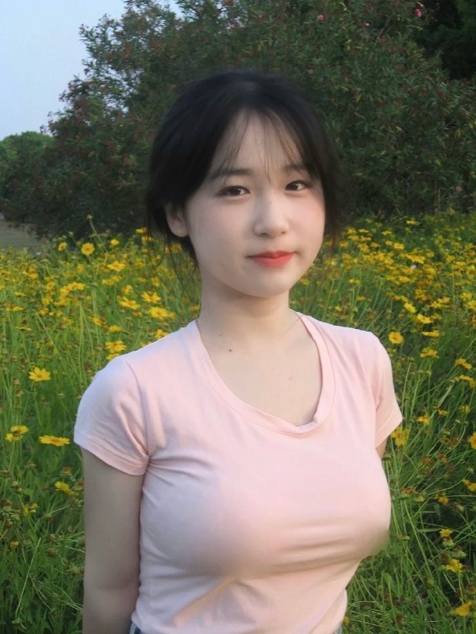 gtv打桩机打桩_gtv机V