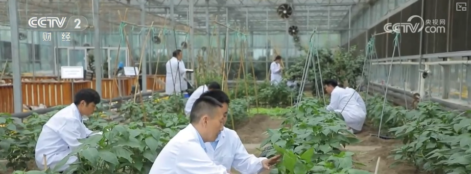 产学研融合高校科研“接地气”打破学科壁垒