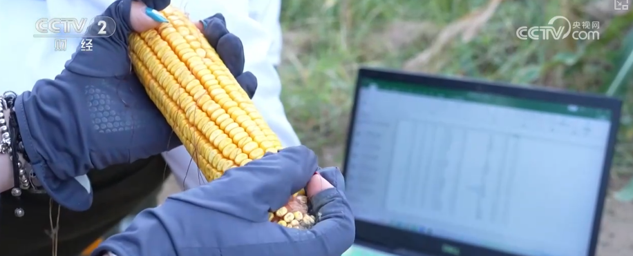 产学研融合高校科研“接地气”打破学科壁垒为毕业生开拓全新职业蓝海(图5)