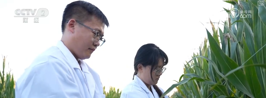 产学研融合高校科研“接地气”打破学科壁垒为毕业生开拓全新职业蓝海(图4)