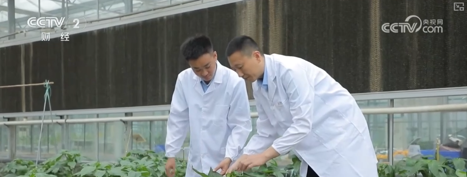 产学研融合高校科研“接地气”打破学科壁垒为毕业生开拓全新职业蓝海(图2)