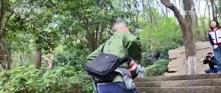 银发经济活力涌动“科技+服务”催生多样“