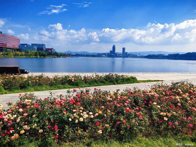 成都热搜楼盘：天府公园观澜9号售楼处（电线(图13)