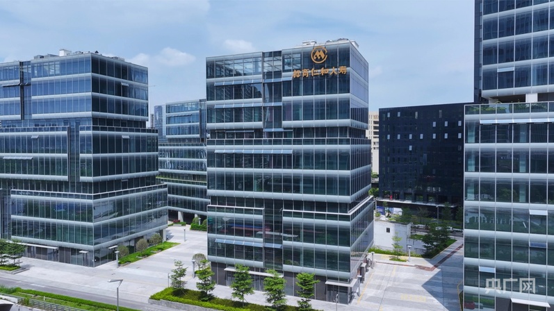 11年前海种出了什么“试验田”？——记者一线探访自贸区制度型开放的前沿实践(图4)